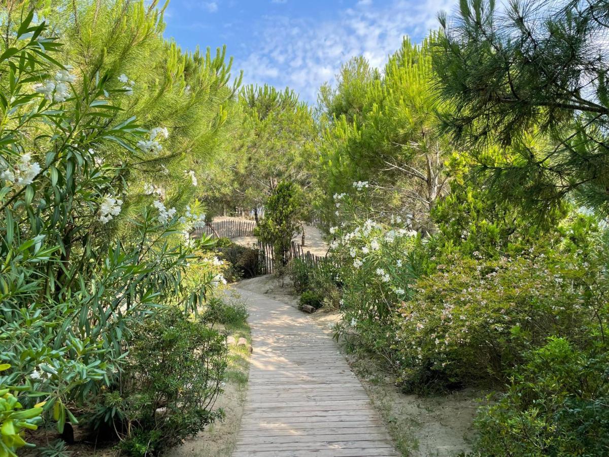 Hotel Plage Palace & Spa Palavas-les-Flots Eksteriør bilde The path leading to the cave